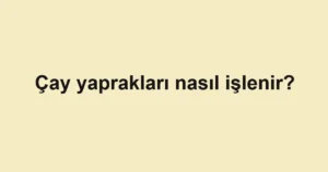 cay-yapraklari-nasil-islenir