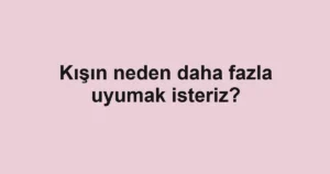 kisin-neden-daha-fazla-uyumak-isteriz