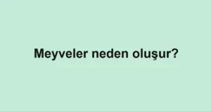 meyveler-neden-olusur